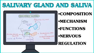 Saliva and Salivary Glands ll Gastrointestinal Physiology ll Composition ll Secretion ll Mechanism [upl. by Ikram501]