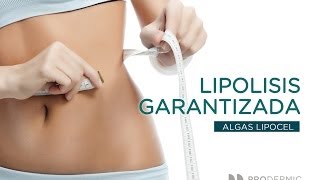 Lipolisis Garantizada  Algas Lipocel [upl. by Grindle313]