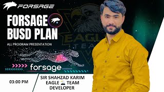 Forsage Busd Complete Plan By Sir Shahzad Karim Forsage in Pakistan [upl. by Hillery445]