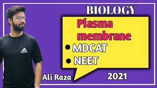 Plasma Membrane Structure And Functions  NMDCAT 2021 [upl. by Assener]