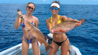 GIANT Mangrove Snapper  Xpress Bay Boat OFFSHORE Fishing [upl. by Sims]