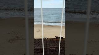 part 2 waves off the end of Britannia Pier Great Yarmouth 210824 aquietplace greatyarmouth waves [upl. by Jarad954]