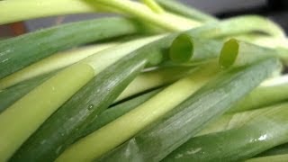 How To Dehydrate Spring Onions [upl. by Wing]