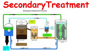 Secondary treatment of wastewater [upl. by Eerehs645]