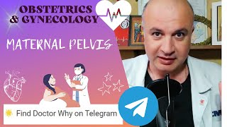 Maternal Pelvis How to Answer Exam Questions [upl. by Yelroc]