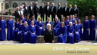 Chili Con Carne  Sirenian Singers [upl. by Nador]