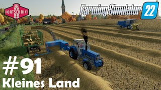 LS22 Kleines Land 91 Sonnenblumen mit Stroh ziemlich viel sogar  Farming Simulator 22 [upl. by Bonnette64]