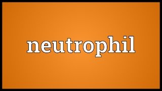 Neutrophil Meaning [upl. by Lemmie]