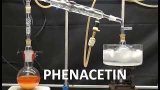 PHENACETIN SYNTHESIS WILLIAMSON ncchem [upl. by Lai]