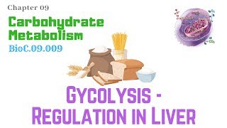 BioC09009Glycolysis 610 – Regulation In Liver  Dr Prashant Sharma [upl. by Chenee]