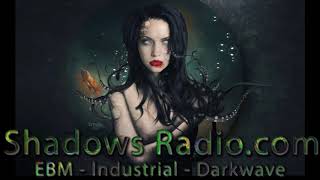 Harsh EBM Music Mix  Dark Synthpop  Industrial  Darkwave [upl. by Pallaten]