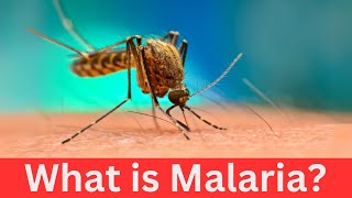 What is Malaria [upl. by Darius]