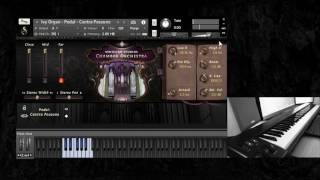 Versilian Studios Chamber Orchestra  Keys [upl. by Yrovi]