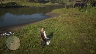 RDR2 Online  Egret spawn location for Daily Challenge [upl. by Jeane]