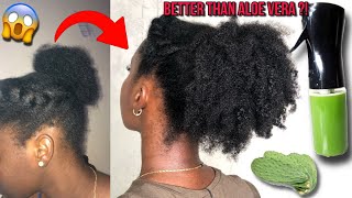 Cactus for Hair growth Before and After  How to Use Cactus for hair growth Cactus for hair growth [upl. by Nohsauq956]