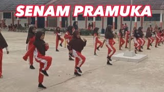 SENAM PRAMUKA SDN 05 TEKARANG  LATIHAN SENAM [upl. by Kragh833]