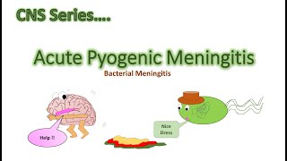 Meningitis  Acute Pyogenic Meningitis  CNS Series CH9 part 1 [upl. by Hoashis]