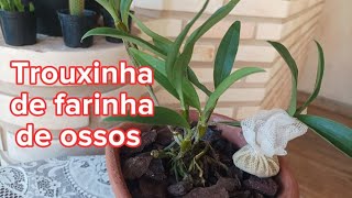 COMO FAZER TROUXINHA DE ADUBO PARA SUA ORQUÍDEA 🌸 MUITO FÁCIL aduboorganico [upl. by Teddie616]