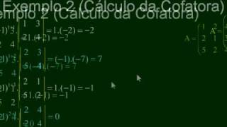 Matemática  Aula 21  Matriz Inversa  Parte 5 [upl. by Miksen]