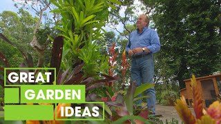 How to Grow Bromeliads  GARDEN  Great Home Ideas [upl. by Arima827]