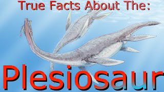 True facts About The Plesiosaur [upl. by Brittan988]