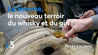 La Somme le nouveau terroir du whisky et du gin   Météo à la carte [upl. by Pang926]