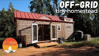 OffGrid Tiny House Homestead  Amazing DIY Timber Frame Tiny Home [upl. by Leaffar]