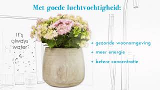 De wonderlijke werking van hortensia [upl. by Anahsar]