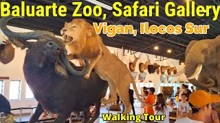 Baluarte Zoo Vigan Ilocos Sur Walking Tour BaguioBicol [upl. by Safier]