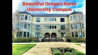 Beautiful Oregon State University OSU Campus Tour [upl. by Elisee394]