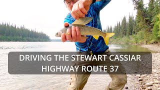 Driving the Stewart Cassiar Highway route 37 and catching Grayling [upl. by Okikuy65]