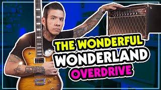 Amplified Nation Wonderland Overdrive amp demo  FREE BACKING TRACK [upl. by Emanuel206]