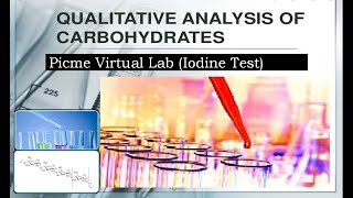 Qualitative analysis of carbohydrates Iodine Test  PICME Labs  Biochemistry I [upl. by Grous]