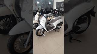 HARGA SCOOPY TERBARU 2021 [upl. by Grissom]