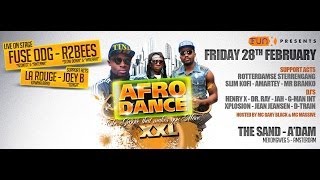 Akwaaba holland promo for AFRO DANCE R2bees Live On Stage [upl. by Laden]