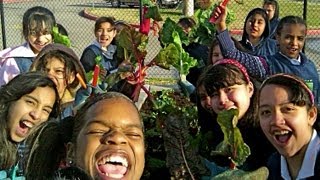 How to Start a School Garden  Help Kids Grow Healthy Food [upl. by Pet]