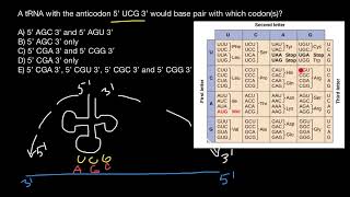 Codon and anticodon [upl. by Janaya]