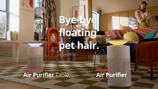 SwitchBot Air Purifier Series  Byebye floating pet hair [upl. by Hsemin779]