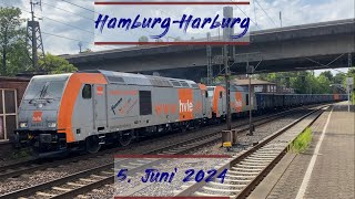 HamburgHarburg 5 Juni 2024 [upl. by Wolbrom]