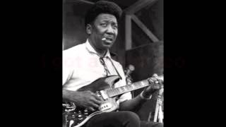 Muddy Waters  Hoochie Coochie Man Lyrics [upl. by Anaidirib992]