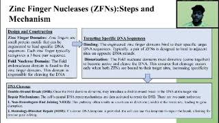 Zinc Finger Nuclease [upl. by Betthezel931]