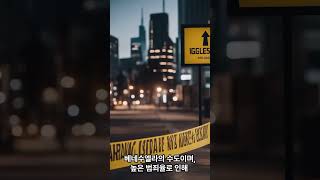 세계에서 가장 위험한 여행지 TOP5 shorts 차트를달리는쇼츠 [upl. by Atteragram]