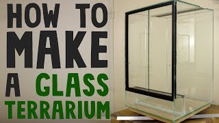 How to build a glass terrarium vivarium [upl. by Mavilia789]