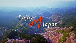 Enjoy my Japan  Vivez mon Japon｜JAPON MAGNIFIQUE  JNTO [upl. by Alyag75]