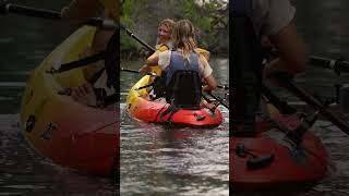 Kayak Adventure at Curaçao Rif Mangrove Park shorts [upl. by Barbara-Anne631]