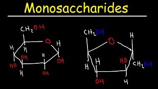 Monosaccharides  Glucose Fructose Galactose amp Ribose  Carbohydrates [upl. by Merete]