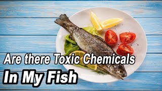 Are There Toxic Chemicals In The Fish I Am Eating by Judith Weis [upl. by Arocet521]