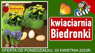 BIEDRONKA  Oferta od Poniedziałku 03042023  Kwiaciarnia Biedronki  Tanie Kwiaty [upl. by Fesuy]