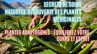 Secrets de Soins Naturels Découverte des Plantes Médicinales plantes adaptogènes [upl. by Salakcin]