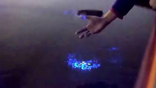 Vaadhoo Island Maldives The bioluminescent phytoplankton [upl. by Reave]